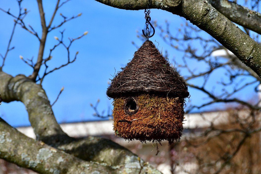 Naturalistic Birdhouse