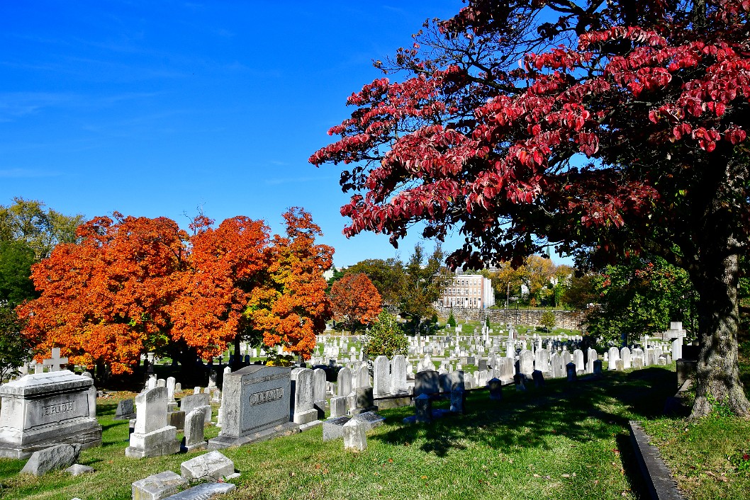 Autumn Colors in the Necropolis