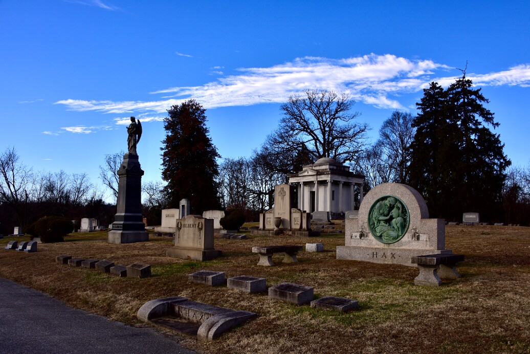 Facing the Afternoon Sun