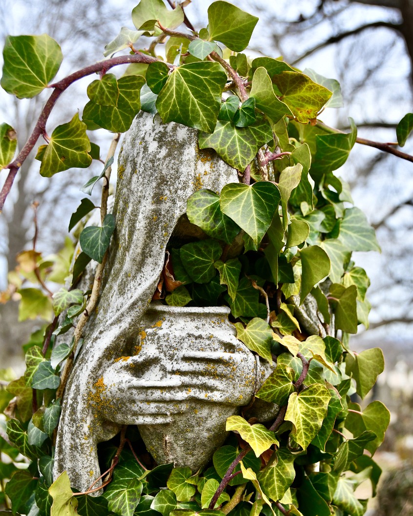 Hood, Leaves, Hands, and Urn 1