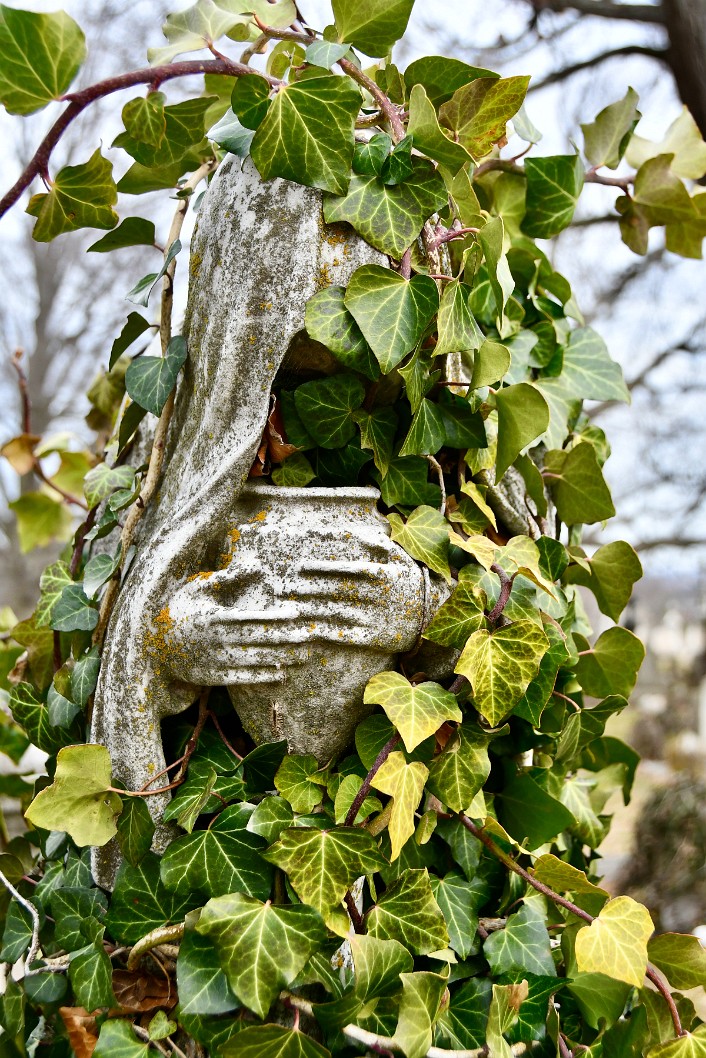 Hood, Leaves, Hands, and Urn 2